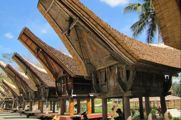 Tana Toraja, Rumah Adat & Gua Tengkorak - 4