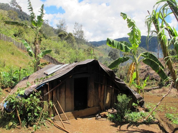 Ugimba, Desa Tersembunyi di Kaki Carstensz - 5