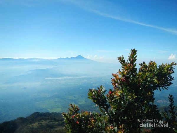 Tantangan Berat Mendaki Gunung  Arjuno  Lewat Alas Lali Jiwo