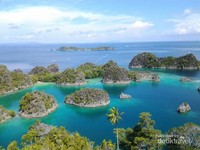 Jalan-jalan ke Raja Ampat tidak lengkap rasanya jika tidak mampir ke Pianemo. Jalan-jalan ke Raja Ampat tidak lengkap rasanya jika tidak mampir ke Pianemo.