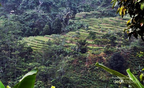 Hiking Seru Ke Curug Leuwi Hejo Di Sentul Bogor