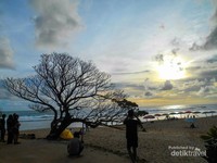 Pohon duras dengan background sunset yang menjadi ciri khas Pantai Pok Tunggal. Pohon duras dengan background sunset yang menjadi ciri khas Pantai Pok Tunggal.