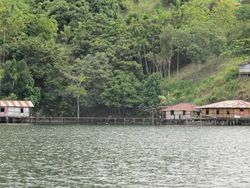 Cantiknya Ayapo, Desa Apung di Danau Sentani