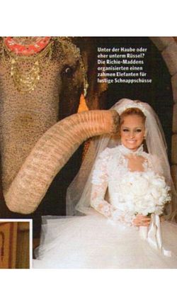 10 Pernikahan  Seleb Teraneh  Pakai Bikini Hingga Nikah di 