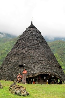 Wae Rebo, Kampung Adat Misterius di Tengah Pegunungan Flores