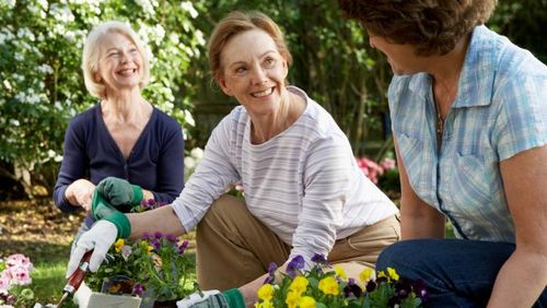 Yuk Berkebun! Ini Manfaatnya untuk Kesehatan Fisik dan Mental 1 Yuk Berkebun! Ini Manfaatnya untuk Kesehatan Fisik dan Mental 1