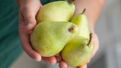 9 Alasan Sehat Buah Pir Harus Ada di Mangkuk Anda 9 Alasan Sehat Buah Pir Harus Ada di Mangkuk Anda