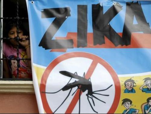 Virus Zika Diteliti untuk Jadi Pembasmi Kanker Otak Virus Zika Diteliti untuk Jadi Pembasmi Kanker Otak