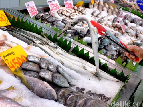 Minamata Penyakit yang  Bisa Timbul Akibat Konsumsi Ikan  