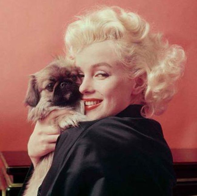 Rumah Tempat Marilyn Monroe Meninggal Dijual Rp 91 M