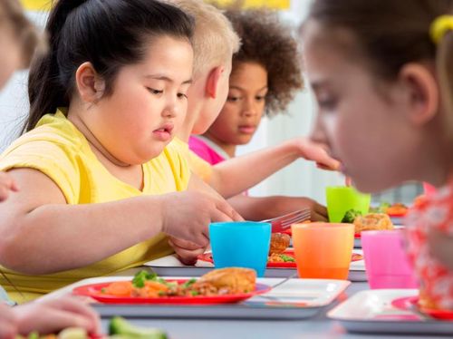 Obesitas Anak Tak Melulu karena Kebanyakan Makan Obesitas Anak Tak Melulu karena Kebanyakan Makan
