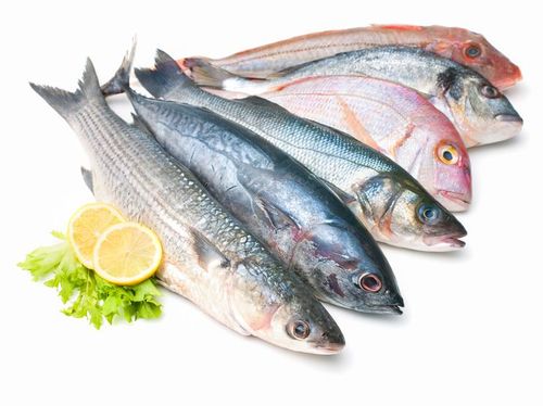 Amankah Memakan Ikan Kemasan Kaleng Setiap Hari? Amankah Memakan Ikan Kemasan Kaleng Setiap Hari?