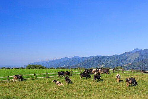 Istilah Clean Labels dan Regenerative Grazing akan Populer di Dunia Kuliner Istilah Clean Labels dan Regenerative Grazing akan Populer di Dunia Kuliner