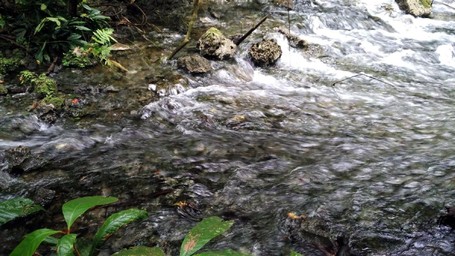 Misteri di Balik Sungai Biru di Raja Ampat