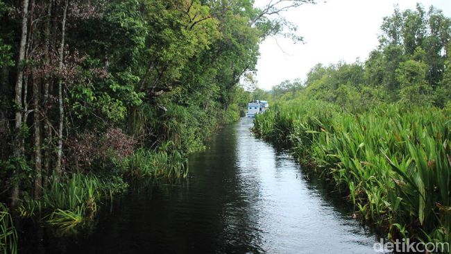 Ada Sungai Berwarna Hitam di Kalimantan Tengah