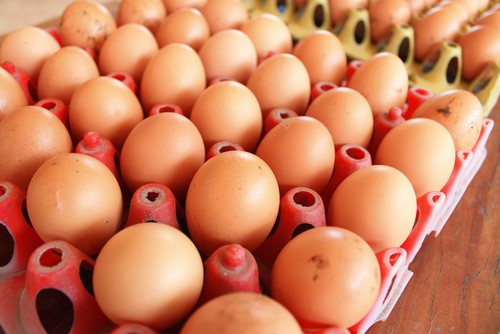 Berapa Butir Telur Sebaiknya Dikonsumsi Setiap Hari? Berapa Butir Telur Sebaiknya Dikonsumsi Setiap Hari?