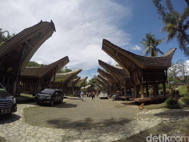 Tongkonan Rumah  Adat Toraja  yang Penuh Simbol dan Makna