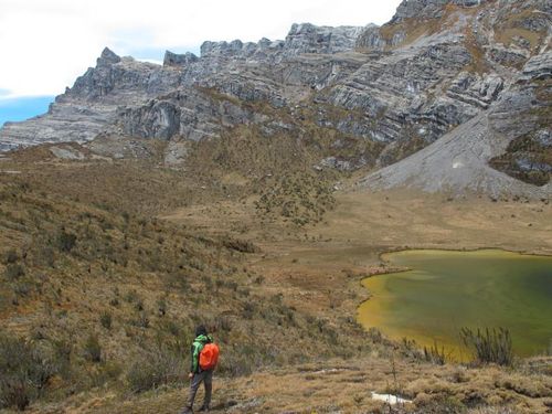 Olahraga untuk Persiapan Naik Gunung Olahraga untuk Persiapan Naik Gunung