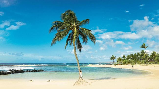 Di Pulau Ini Bangunan Tidak Boleh Lebih Tinggi dari Pohon 