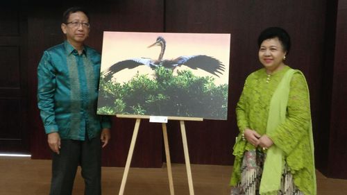 Pengalaman Buta Mendadak dan Motivasi Prof Zubairi Tekuni Fotografi Pengalaman Buta Mendadak dan Motivasi Prof Zubairi Tekuni Fotografi