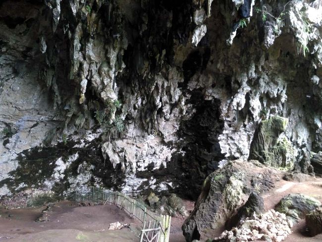 Jejak Manusia Purba di Gua Braholo Gunungkidul