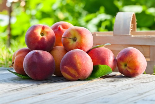 Logo Buah Peach Jadi Penanda Tempat Makanan Halal di Okayama Logo Buah Peach Jadi Penanda Tempat Makanan Halal di Okayama