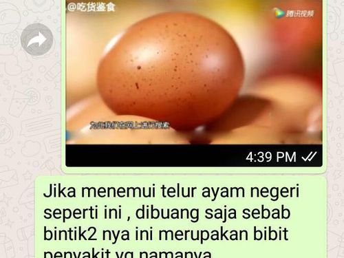 Penjelasan Soal Broadcast Bintik di Kulit Telur Bisa Bikin Penyakit Penjelasan Soal Broadcast Bintik di Kulit Telur Bisa Bikin Penyakit