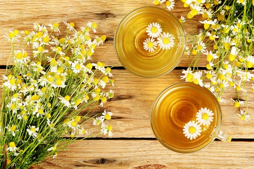 Sering Salah Sebut, Chamomile dan Jasmine Tidak Tergolong Teh Sering Salah Sebut, Chamomile dan Jasmine Tidak Tergolong Teh