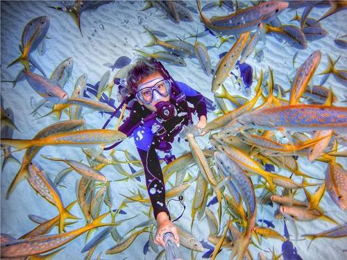 Hilangkan Depresi Lewat Menyelam dan Bersahabat dengan Hewan Laut Hilangkan Depresi Lewat Menyelam dan Bersahabat dengan Hewan Laut