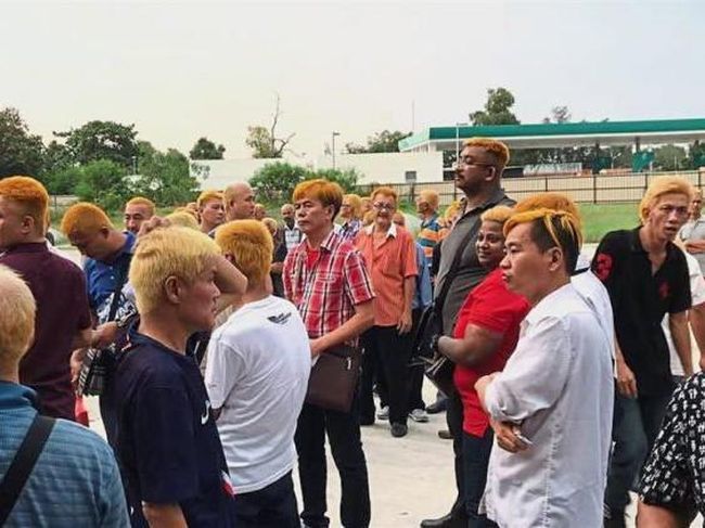 Seribu Orang Lebih Rela Warnai Rambut Jadi Emas Demi Dapat Seribu Orang Lebih Rela Warnai Rambut Jadi Emas Demi Dapat