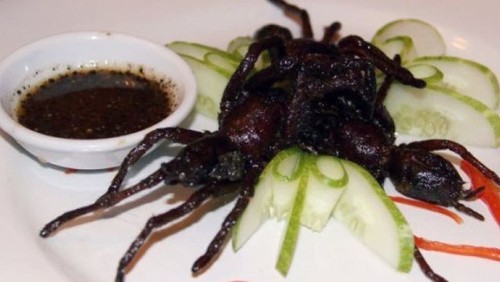 Kriuk Tarantula Goreng dan Gurih Cakar Buaya, Makanan Paling Aneh di Dunia (1) Kriuk Tarantula Goreng dan Gurih Cakar Buaya, Makanan Paling Aneh di Dunia (1)